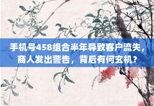 手机号458组合半年导致客户流失，商人发出警告，背后有何玄机？