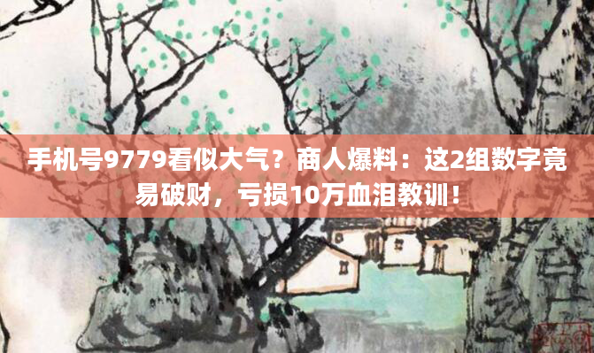 手机号9779看似大气？商人爆料：这2组数字竟易破财，亏损10万血泪教训！