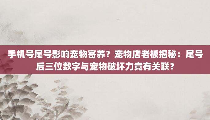 手机号尾号影响宠物寄养？宠物店老板揭秘：尾号后三位数字与宠物破坏力竟有关联？