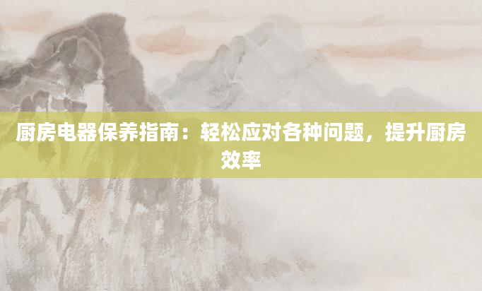 厨房电器保养指南：轻松应对各种问题，提升厨房效率