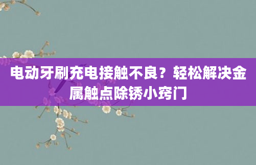 电动牙刷充电接触不良？轻松解决金属触点除锈小窍门
