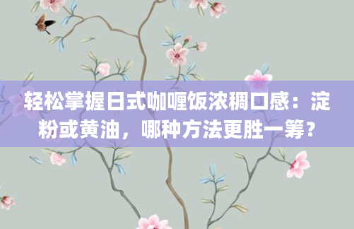 轻松掌握日式咖喱饭浓稠口感：淀粉或黄油，哪种方法更胜一筹？