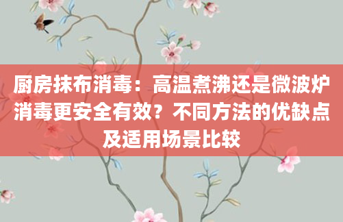 厨房抹布消毒：高温煮沸还是微波炉消毒更安全有效？不同方法的优缺点及适用场景比较