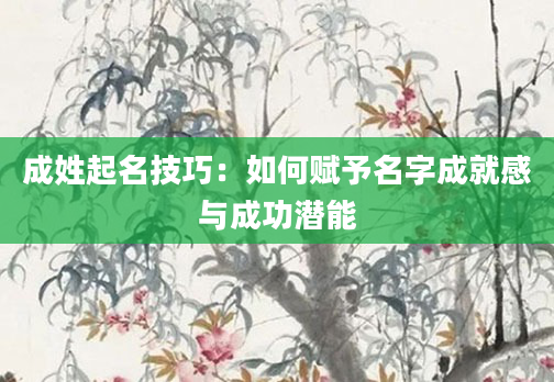 成姓起名技巧：如何赋予名字成就感与成功潜能