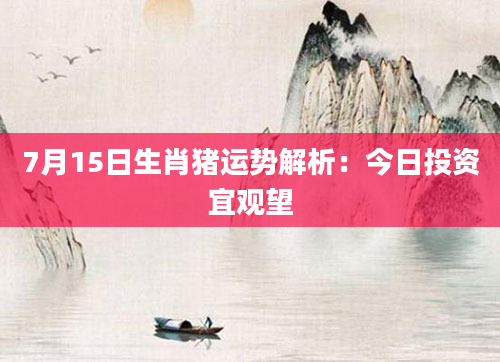 7月15日生肖猪运势解析：今日投资宜观望