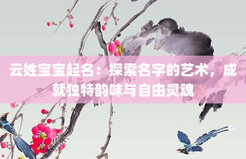 云姓宝宝起名：探索名字的艺术，成就独特韵味与自由灵魂