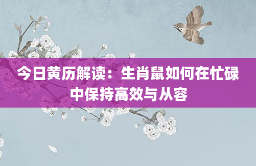 今日黄历解读：生肖鼠如何在忙碌中保持高效与从容
