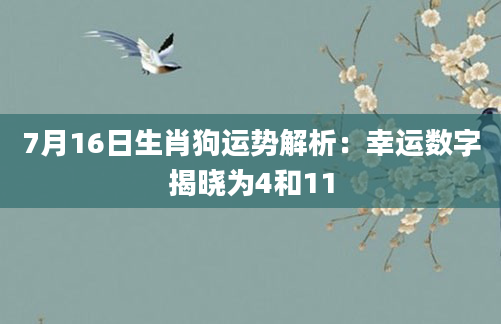 7月16日生肖狗运势解析：幸运数字揭晓为4和11