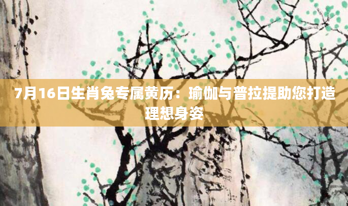 7月16日生肖兔专属黄历：瑜伽与普拉提助您打造理想身姿