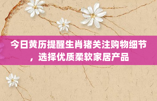 今日黄历提醒生肖猪关注购物细节，选择优质柔软家居产品