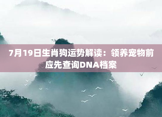 7月19日生肖狗运势解读：领养宠物前应先查询DNA档案