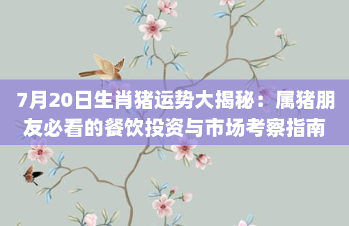 7月20日生肖猪运势大揭秘：属猪朋友必看的餐饮投资与市场考察指南