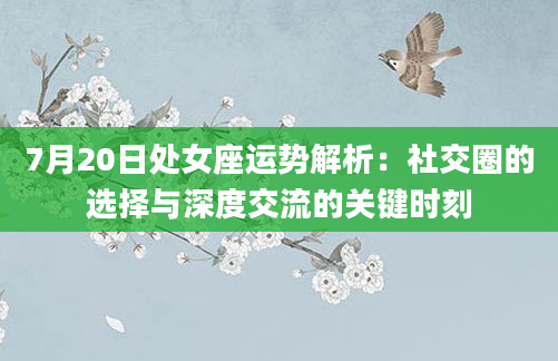 7月20日处女座运势解析：社交圈的选择与深度交流的关键时刻