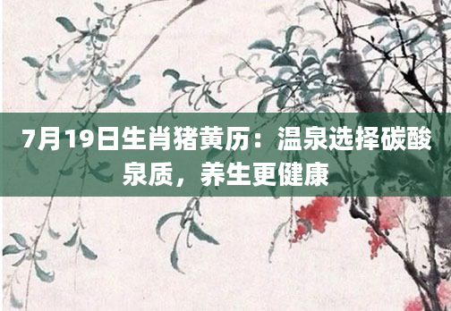 7月19日生肖猪黄历：温泉选择碳酸泉质，养生更健康