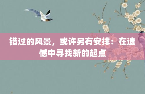 错过的风景，或许另有安排：在遗憾中寻找新的起点