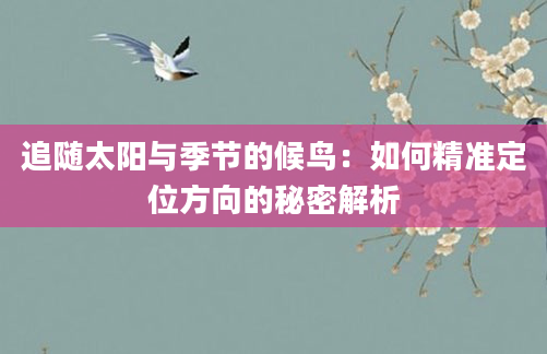 追随太阳与季节的候鸟：如何精准定位方向的秘密解析