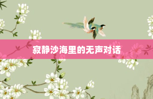 寂静沙海里的无声对话