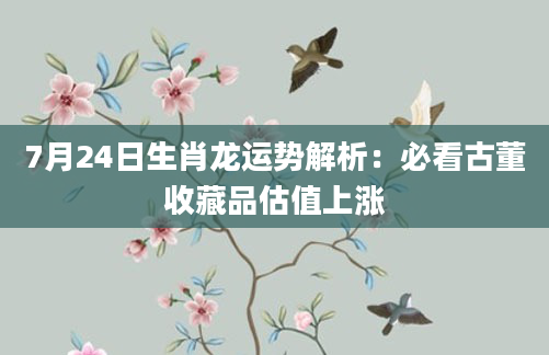 7月24日生肖龙运势解析：必看古董收藏品估值上涨
