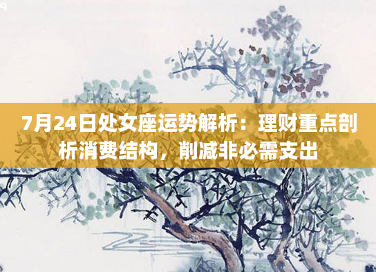 7月24日处女座运势解析:理财重点剖析消费结构,削减非必需支出