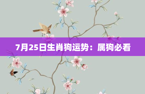 7月25日生肖狗运势:属狗必看