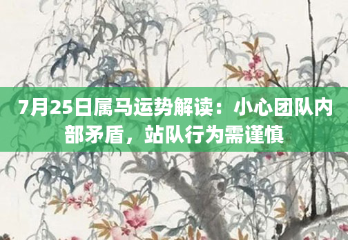 7月25日属马运势解读:小心团队内部矛盾,站队行为需谨慎