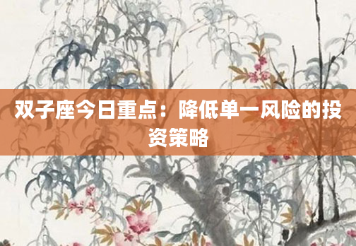 双子座今日重点:降低单一风险的投资策略