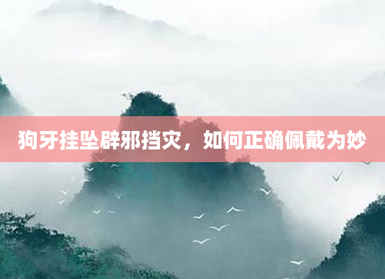 狗牙挂坠辟邪挡灾,如何正确佩戴为妙