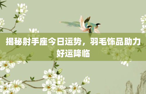 揭秘射手座今日运势,羽毛饰品助力好运降临