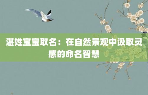 湛姓宝宝取名:在自然景观中汲取灵感的命名智慧
