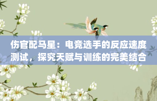伤官配马星:电竞选手的反应速度测试,探究天赋与训练的完美结合