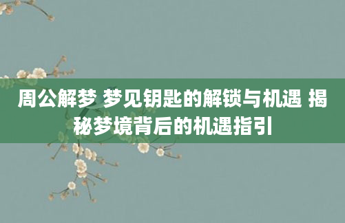 周公解梦 梦见钥匙的解锁与机遇 揭秘梦境背后的机遇指引