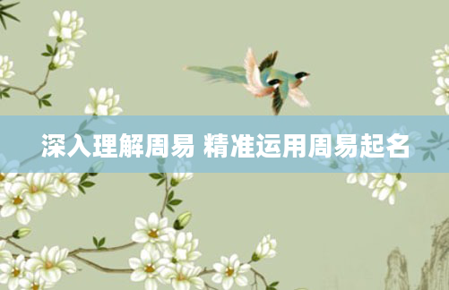 深入理解周易 精准运用周易起名