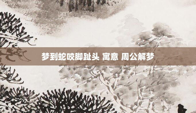 梦到蛇咬脚趾头 寓意 周公解梦