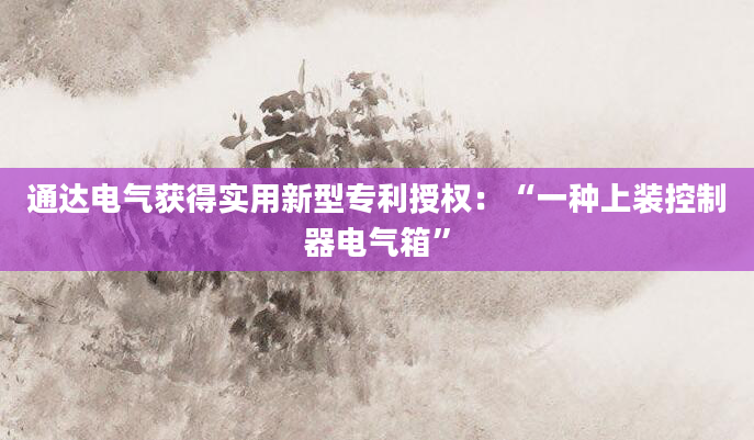 通达电气获得实用新型专利授权:“一种上装控制器电气箱”