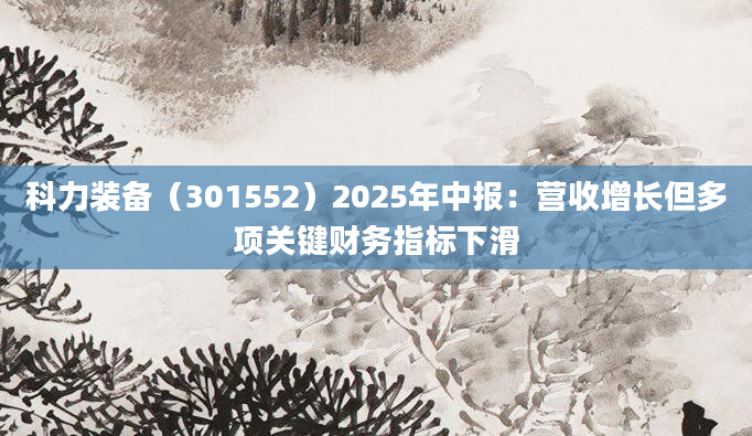科力装备(301552)2025年中报:营收增长但多项关键财务指标下滑