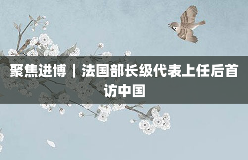 聚焦进博|法国部长级代表上任后首访中国