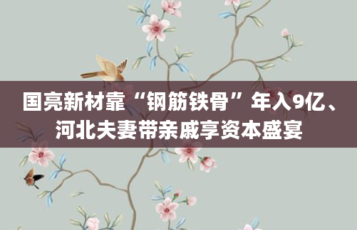 国亮新材靠“钢筋铁骨”年入9亿、河北夫妻带亲戚享资本盛宴