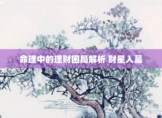 命理中的理财困局解析 财星入墓