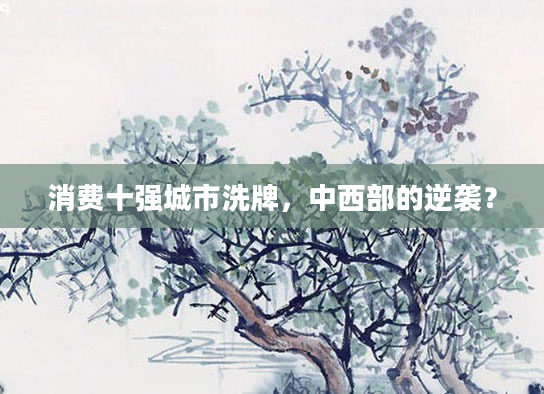 消费十强城市洗牌,中西部的逆袭?