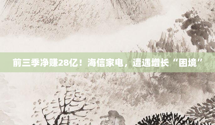 前三季净赚28亿!海信家电,遭遇增长“困境”