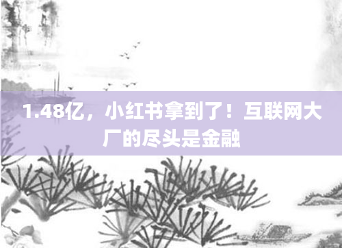 1.48亿,小红书拿到了!互联网大厂的尽头是金融