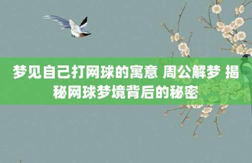 梦见自己打网球的寓意 周公解梦 揭秘网球梦境背后的秘密