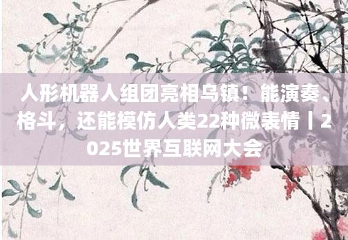 人形机器人组团亮相乌镇!能演奏、格斗,还能模仿人类22种微表情丨2025世界互联网大会