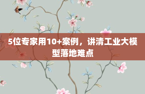 5位专家用10+案例,讲清工业大模型落地难点