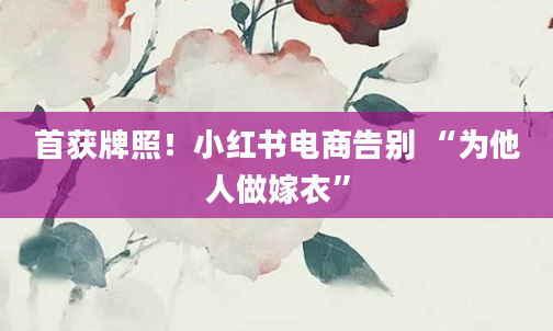 首获牌照!小红书电商告别 “为他人做嫁衣”