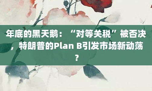 年底的黑天鹅:“对等关税”被否决,特朗普的Plan B引发市场新动荡?