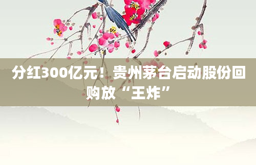 分红300亿元!贵州茅台启动股份回购放“王炸”