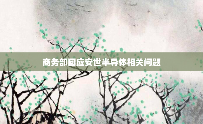 商务部回应安世半导体相关问题