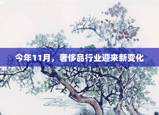 今年11月,奢侈品行业迎来新变化