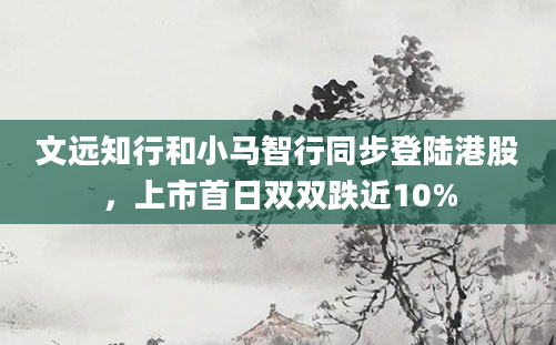 文远知行和小马智行同步登陆港股,上市首日双双跌近10%